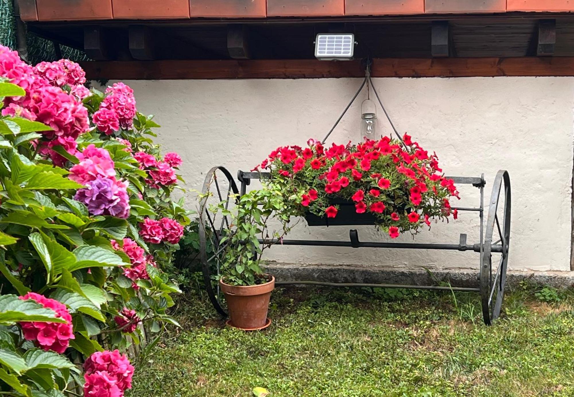 Casa Rural Casa Cerezal Cangas de Onis Ngoại thất bức ảnh